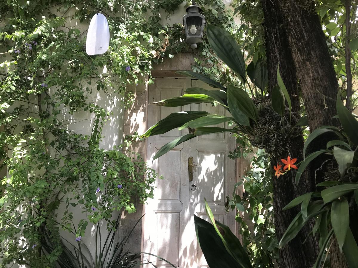 Hotel Fk San Miguel de Allende Luaran gambar